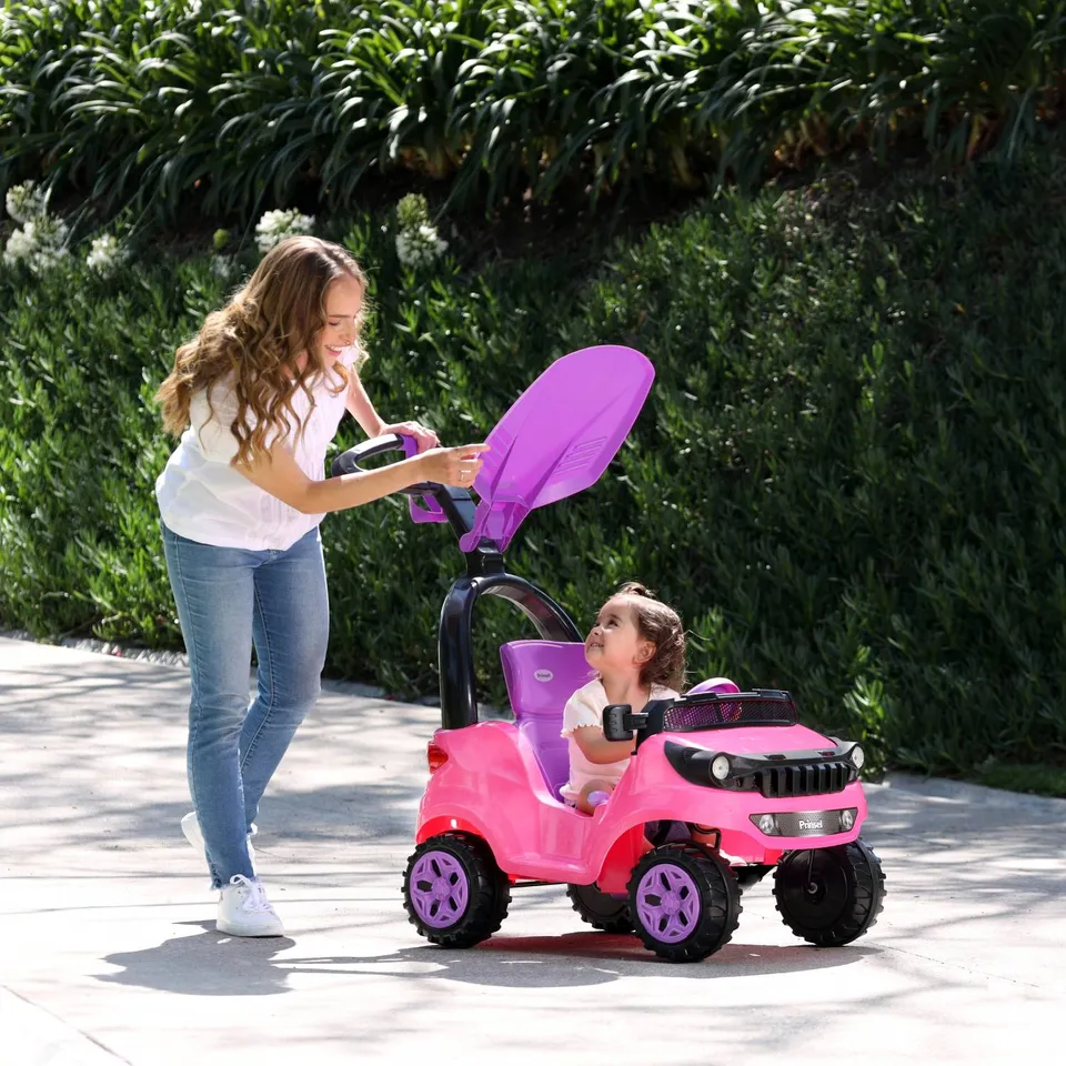 prinsel-adventure-max-girl-push-car-con-respaldo-reclinable image 1